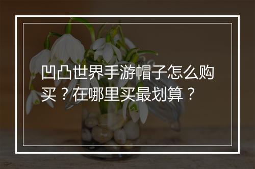 凹凸世界手游帽子怎么购买？在哪里买最划算？