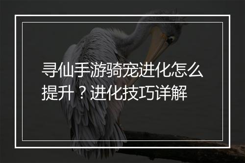寻仙手游骑宠进化怎么提升？进化技巧详解