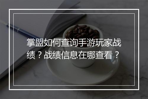掌盟如何查询手游玩家战绩？战绩信息在哪查看？