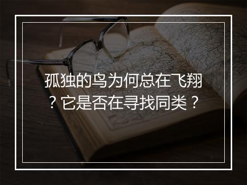 孤独的鸟为何总在飞翔?它是否在寻找同类?