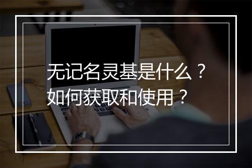 无记名灵基是什么?如何获取和使用?
