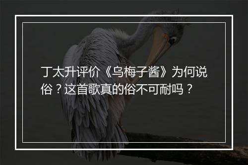 丁太升评价《乌梅子酱》为何说俗?这首歌真的俗不可耐吗?