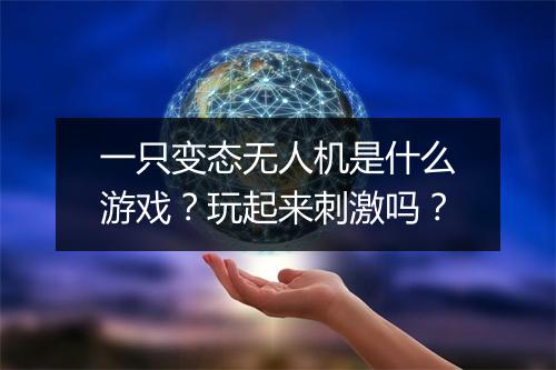 一只变态无人机是什么游戏?玩起来刺激吗?