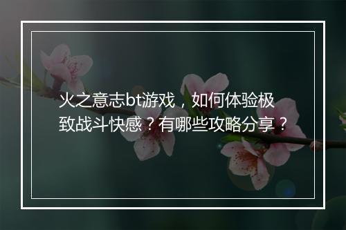 火之意志bt游戏,如何体验极致战斗快感?有哪些攻略分享?