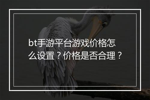 bt手游平台游戏价格怎么设置?价格是否合理?