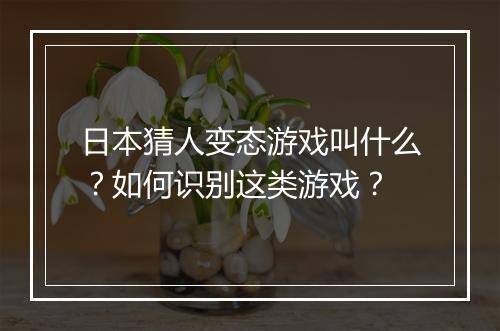 日本猜人变态游戏叫什么?如何识别这类游戏?