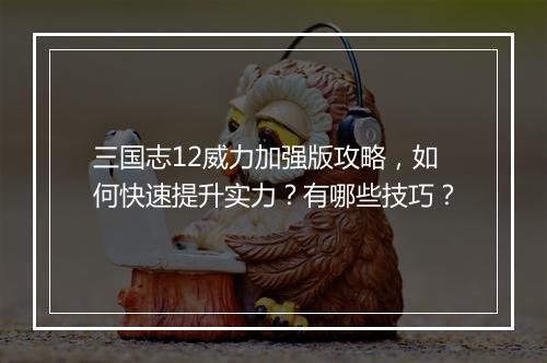 三国志12威力加强版攻略,如何快速提升实力?有哪些技巧?
