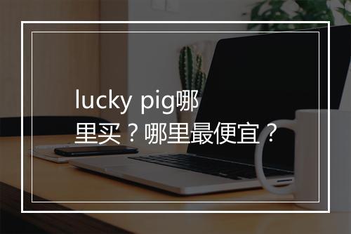 lucky pig哪里买?哪里最便宜?