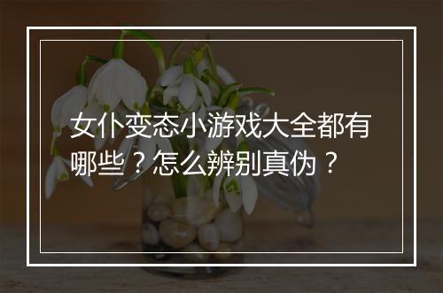 女仆变态小游戏大全都有哪些?怎么辨别真伪?