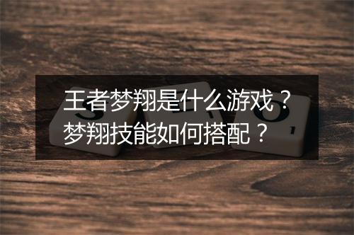 王者梦翔是什么游戏?梦翔技能如何搭配?