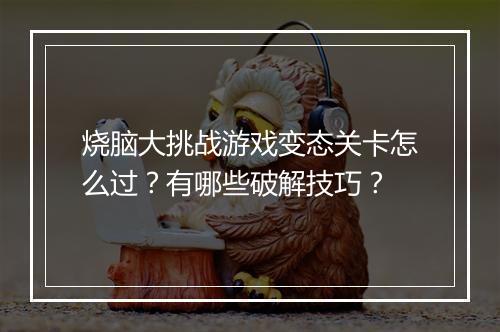 烧脑大挑战游戏变态关卡怎么过?有哪些破解技巧?