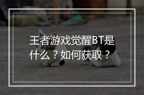 王者游戏觉醒BT是什么?如何获取?