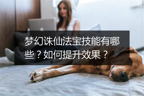 梦幻诛仙法宝技能有哪些?如何提升效果?