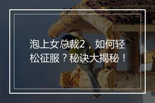 泡上女总裁2,如何轻松征服?秘诀大揭秘!