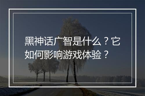 黑神话广智是什么？它如何影响游戏体验？