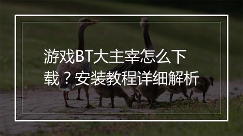 游戏BT大主宰怎么下载?安装教程详细解析