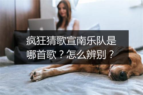 疯狂猜歌宣南乐队是哪首歌?怎么辨别?