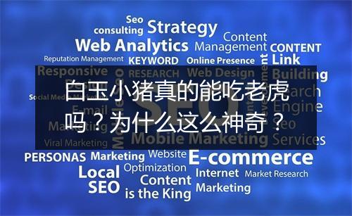 白玉小猪真的能吃老虎吗?为什么这么神奇?