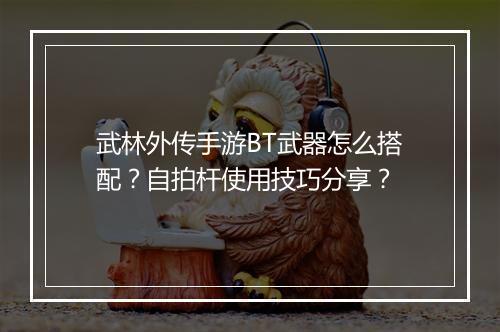 武林外传手游BT武器怎么搭配?自拍杆使用技巧分享?