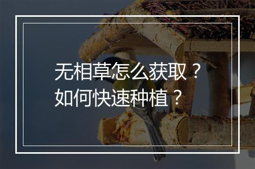 无相草怎么获取?如何快速种植?