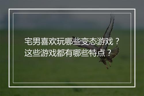 宅男喜欢玩哪些变态游戏?这些游戏都有哪些特点?