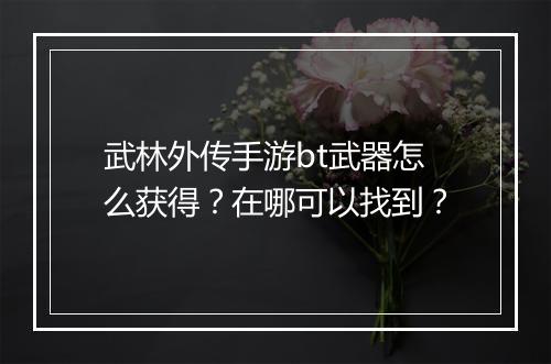 武林外传手游bt武器怎么获得?在哪可以找到?
