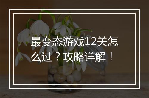 最变态游戏12关怎么过？攻略详解！