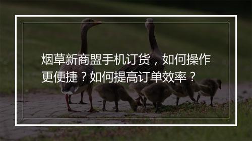 烟草新商盟手机订货,如何操作更便捷?如何提高订单效率?