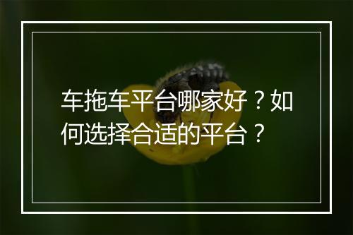车拖车平台哪家好？如何选择合适的平台？