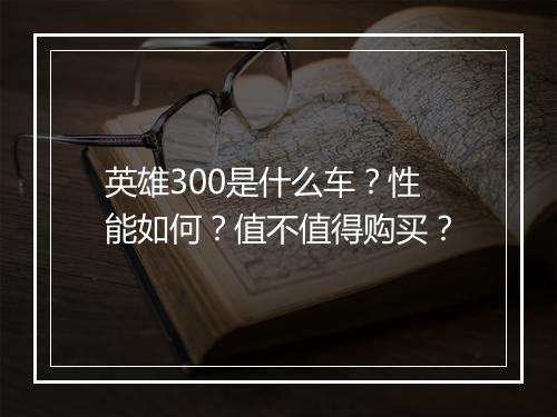 英雄300是什么车?性能如何?值不值得购买?