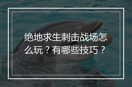 绝地求生刺击战场怎么玩?有哪些技巧?