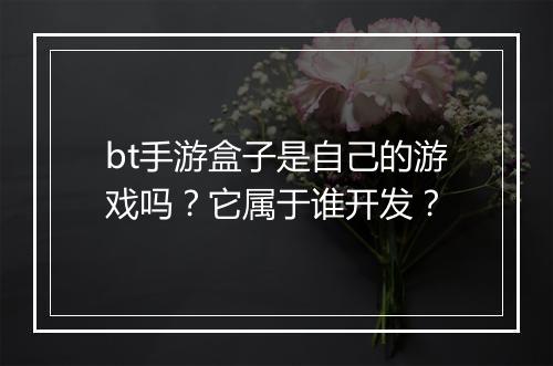 bt手游盒子是自己的游戏吗?它属于谁开发?