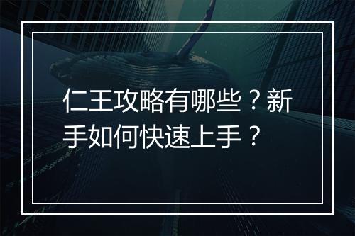 仁王攻略有哪些?新手如何快速上手?