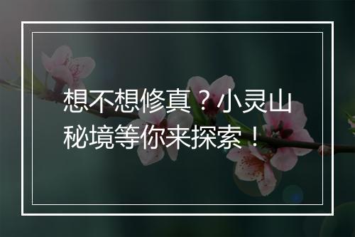 想不想修真?小灵山秘境等你来探索!