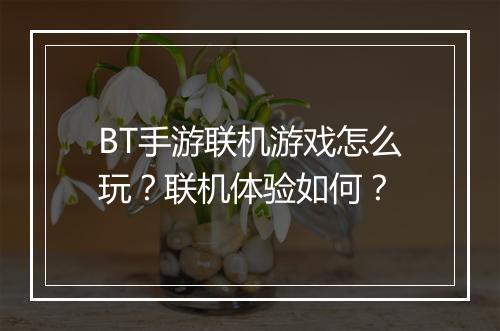 BT手游联机游戏怎么玩?联机体验如何?
