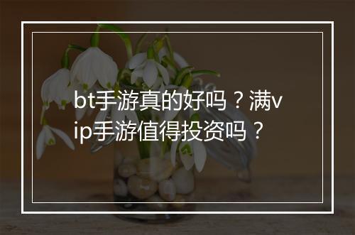 bt手游真的好吗?满vip手游值得投资吗?