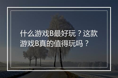 什么游戏B最好玩?这款游戏B真的值得玩吗?