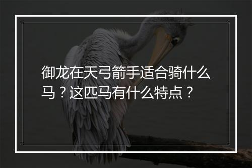 御龙在天弓箭手适合骑什么马?这匹马有什么特点?