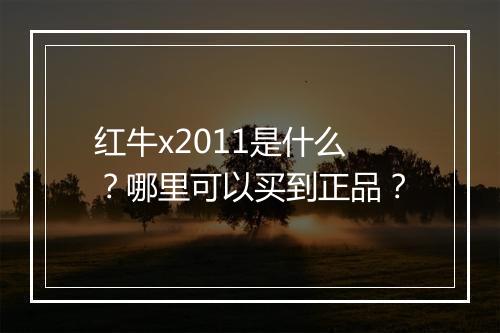 红牛x2011是什么？哪里可以买到正品？