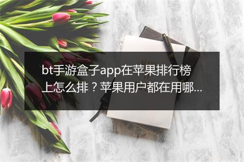 bt手游盒子app在苹果排行榜上怎么排？苹果用户都在用哪个？
