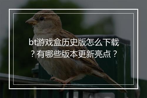 bt游戏盒历史版怎么下载?有哪些版本更新亮点?