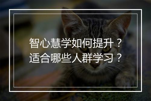 智心慧学如何提升?适合哪些人群学习?