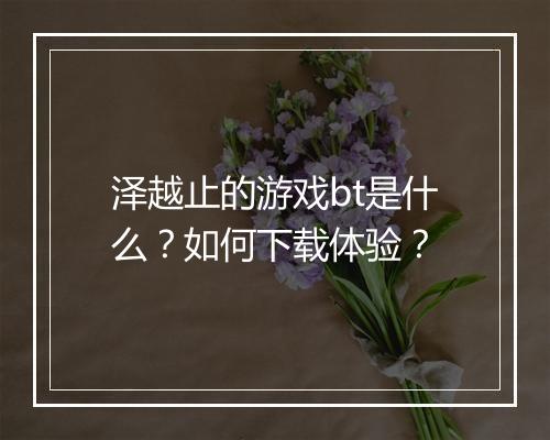 泽越止的游戏bt是什么？如何下载体验？