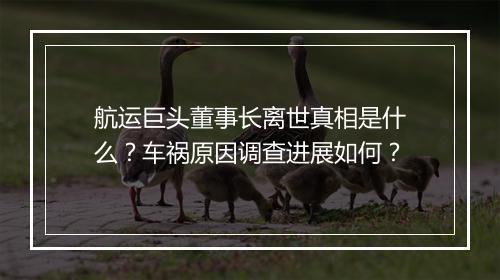航运巨头董事长离世真相是什么?车祸原因调查进展如何?