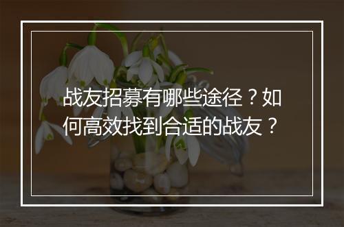 战友招募有哪些途径?如何高效找到合适的战友?