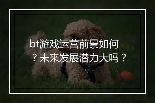 bt游戏运营前景如何?未来发展潜力大吗?