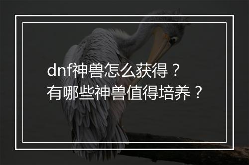 dnf神兽怎么获得?有哪些神兽值得培养?