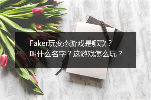 Faker玩变态游戏是哪款?叫什么名字?这游戏怎么玩?