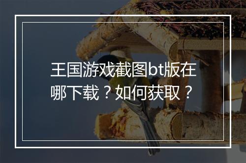 王国游戏截图bt版在哪下载?如何获取?