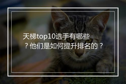天梯top10选手有哪些？他们是如何提升排名的？